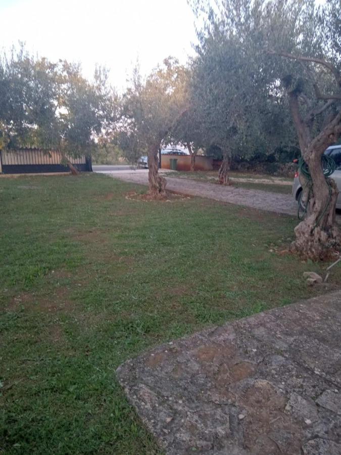 Apartman Krcina Krnica Buitenkant foto