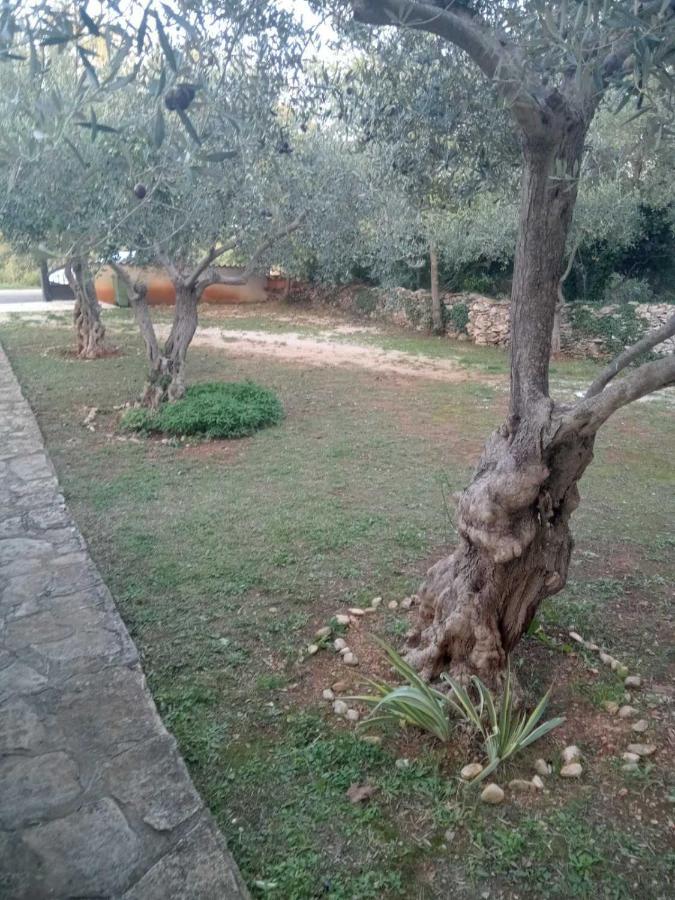 Apartman Krcina Krnica Buitenkant foto